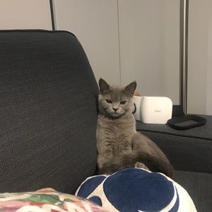 Meet your Posher, Haein